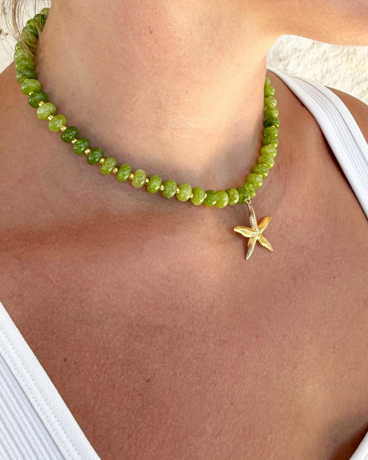 starfish
